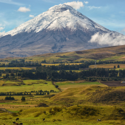 Ecuador