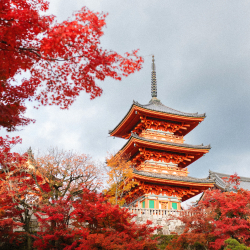 Japan