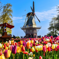 Netherlands