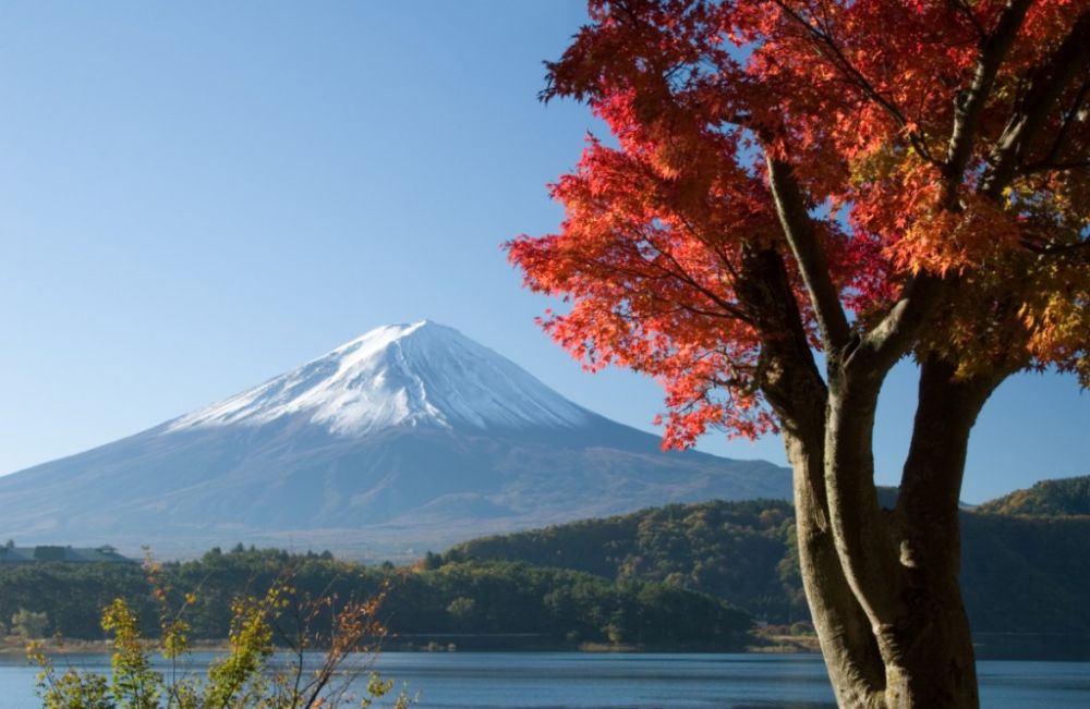 Aprende japonés en Japón