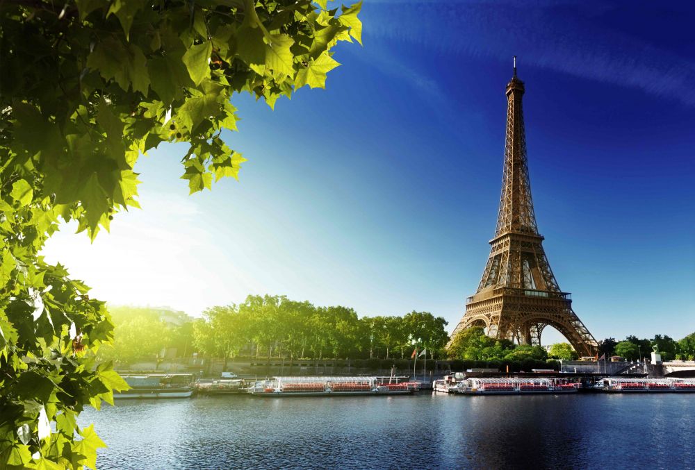 French courses in France