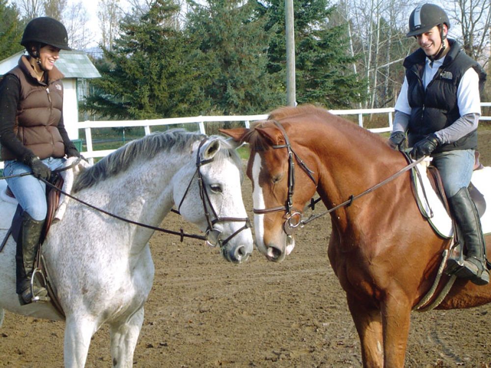 Horseback riding Sport Camp in France