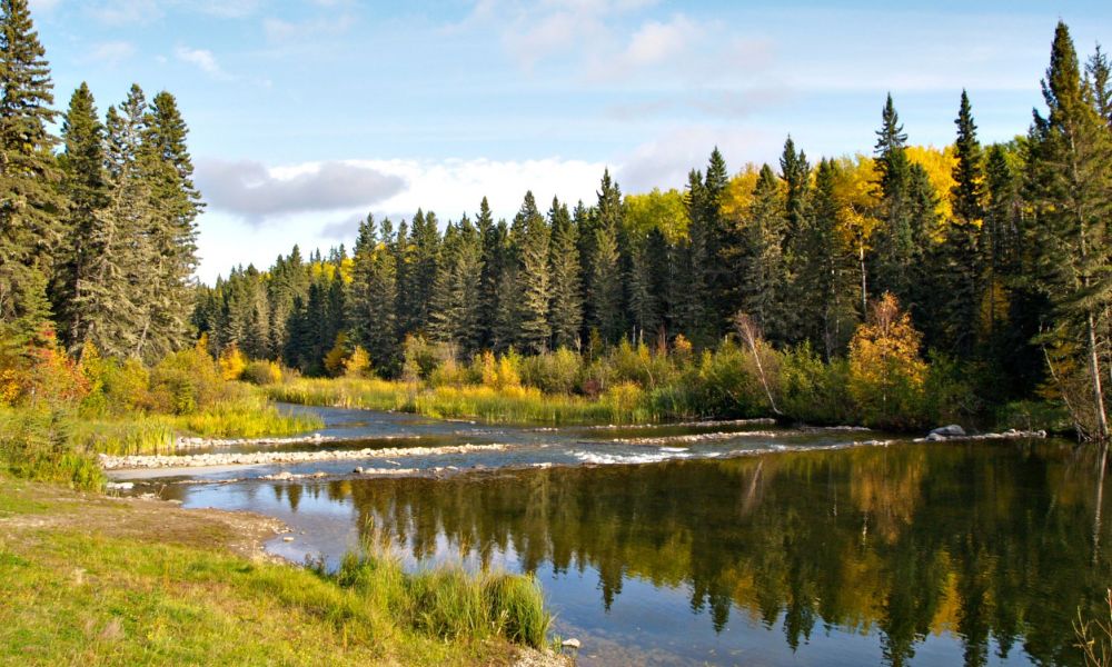 Imersão em casa de família com aulas no Canadá - aulas em casa