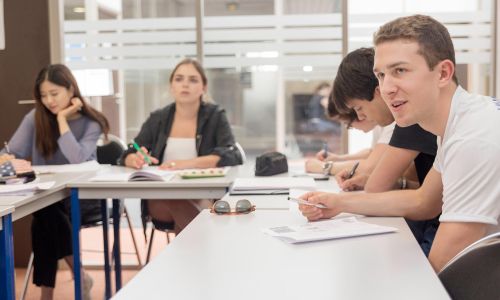 Leren Frans - 