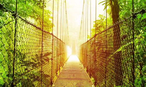 Exchange program in Costa Rica - Preserve our environment