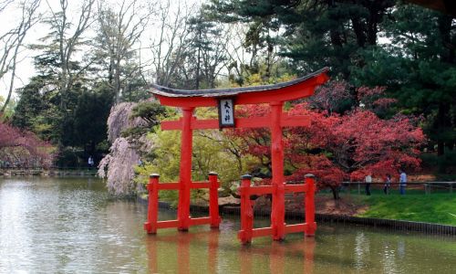 Japanese courses in Japan - a Japanese garden