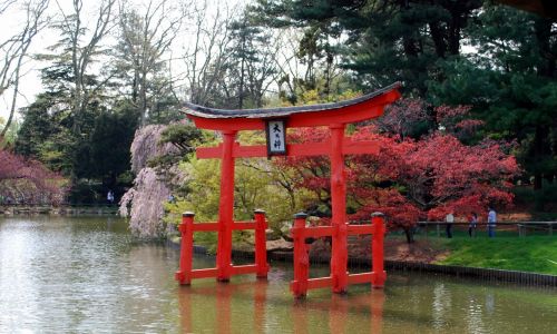 Language School Japan - Japanese courses in Japan - a Japanese garden