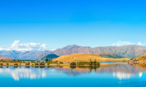 High School in Auckland - Senior class 2016 Auckland New Zealand