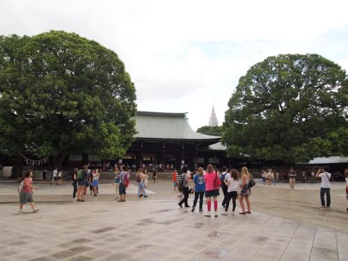 High School Abroad Japan