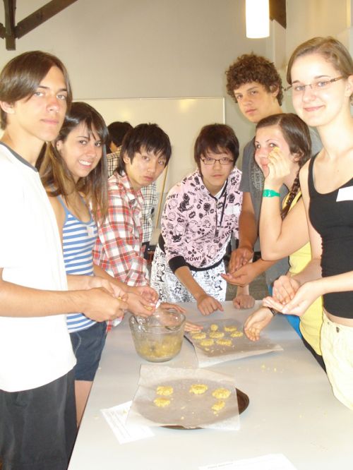 Homestay Programs New Zealand