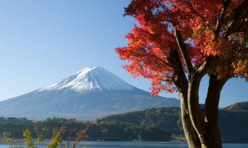 Ensino Médio no Exterior Japão