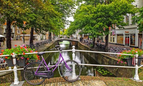 study abroad Homestay Immersion Netherlands