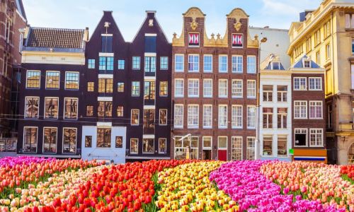 Homestay with private teacher Netherlands