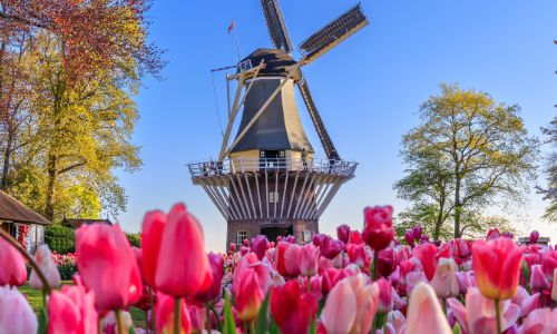 Netherlands
