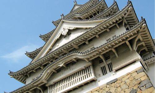 Profissionais e Adultos - 