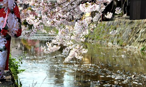 University Student -