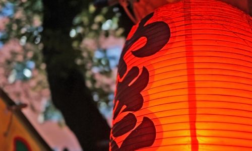 University Student -