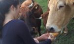 High School Exchange in Andalusia - Student enjoying of countryside in Spain