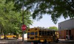 Echange scolaire aux Etats-Unis - bus scolaire