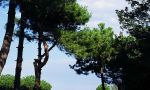 Estudiar en el extranjero en un internado francés - ir a la playa los fines de semana