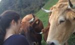 Homestay and school integration in Spain - student on a Spanish farm