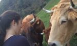 Homestay and school integration in Spain - student on a Spanish farm