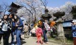 Japanese courses in Japan -students in a park