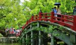Japanese courses in Japan - students in a Japanese park