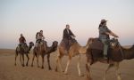Cours d'arabe au Maroc - excursions dans le désert