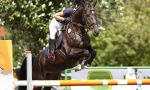 Summer horse riding camp - Jumping