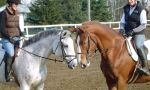 French summer camp in Quebec- Horseriding camp