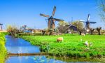 Private Dutch lessons at a teacher's home in The Netherlands 