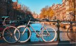 Private Dutch lessons at a teacher's home in the Netherlands - Bicycles